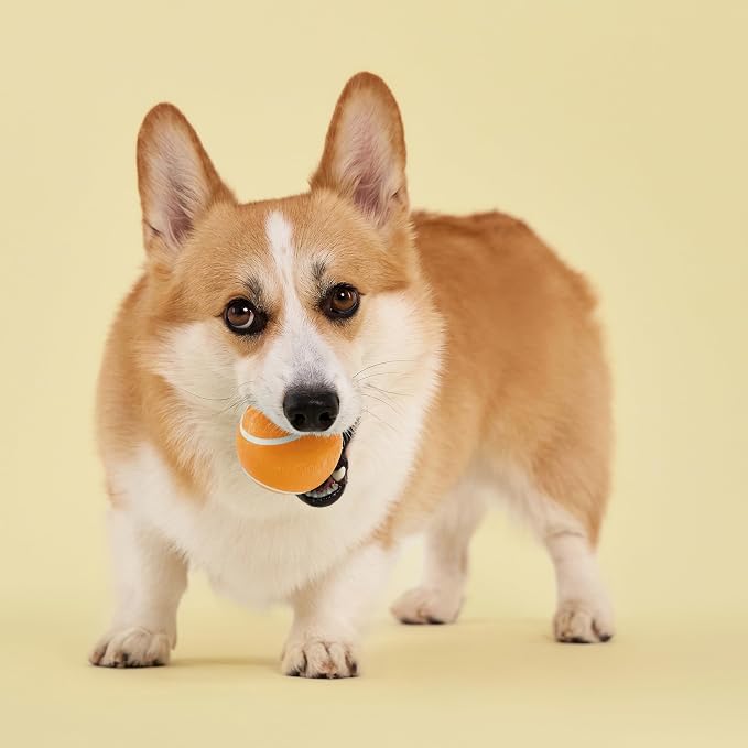 Playology Squeaky Chew Ball Dog Toy - Medium, Cheddar Cheese Scent