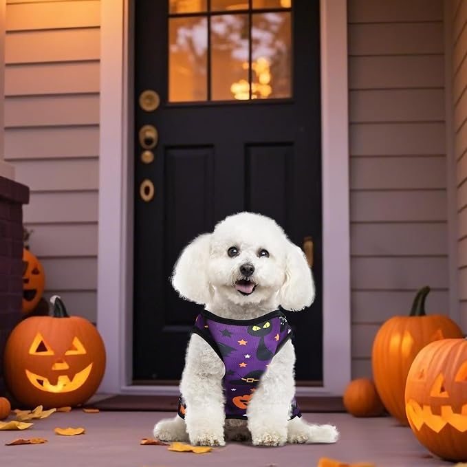 6 Pack Halloween Dog Clothes for Small Dogs, Soft and Breathable Puppy Kitten Dog Shirts for Pet Cats, Dogs' T-Shirts Apparel Sleeveless Vests for Yorkies (Happy Halloween, Medium)