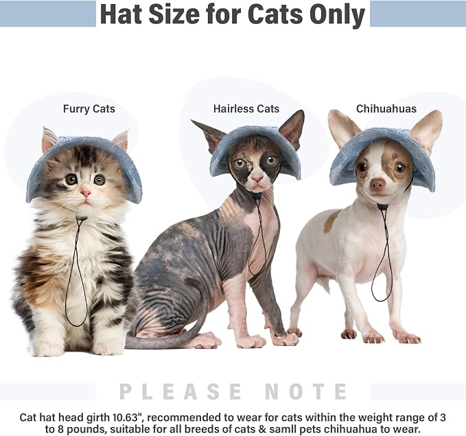 DENTRUN Cat Bucket Hat with Ear Hole, Cotton Birthday Bonnet for Small Pets | Breathable cotton, Adjustable Secures fit, For birthday Party, For small cats, daily cute photos
