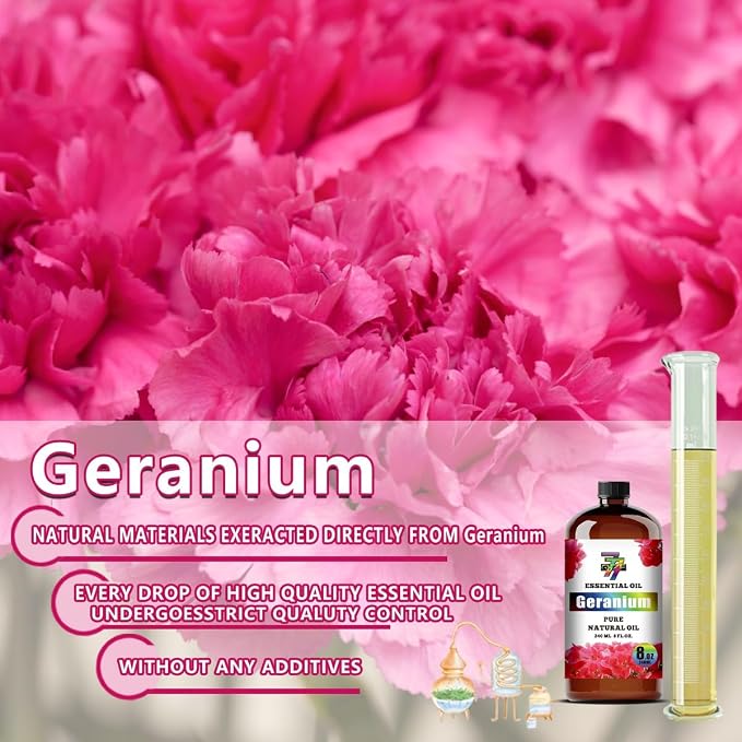 Geranium Essential Oil, Geranium Oils, for Diffuser, Humidifier, DIY Candles, Soap, Skin, Gift, Essential Oil, GV77ZF Geranium Fragrance Oil - 8 fl oz (240 ml)