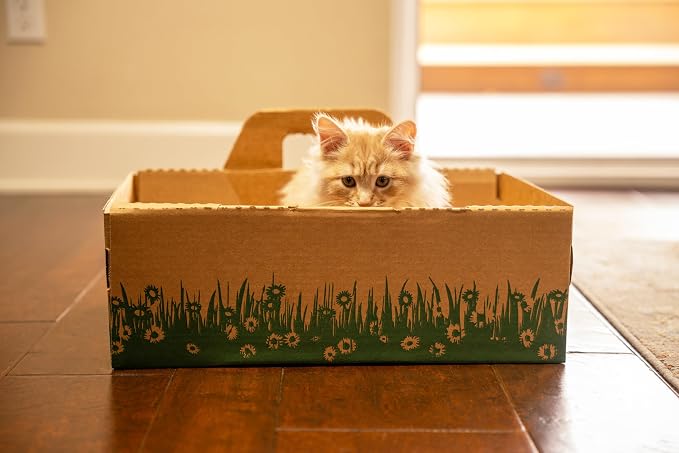 Disposable Ten Second Litter Boxes for Kitty/Cats. Made in the USA. Biodegradable Solution for Quick and Easy Disposal. Made of Recyclable Material. (4-Pack)
