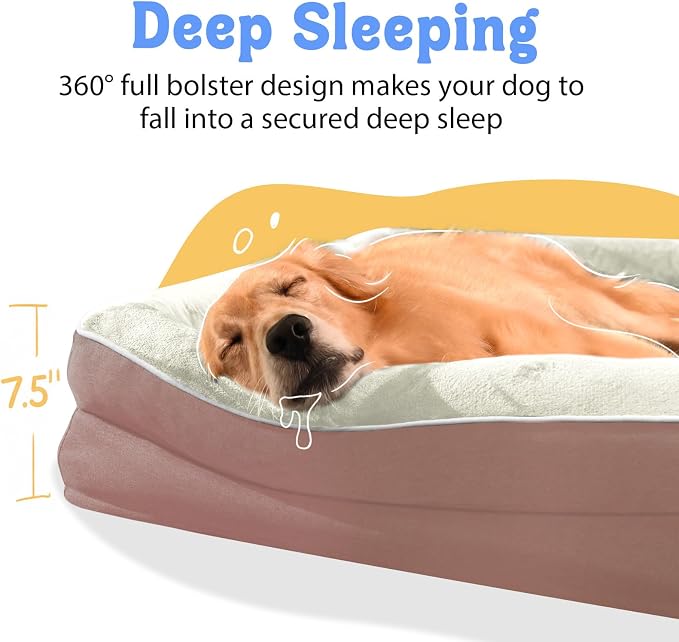 Orthopedic Washable XXL Dog Bed for Extra Large Dogs | Egg Crate Foam, 4-Sided Bolster Support, Waterproof Liner, Non-Slip Bottom, Removable Bolster Cover, 45 x 35 Inch
