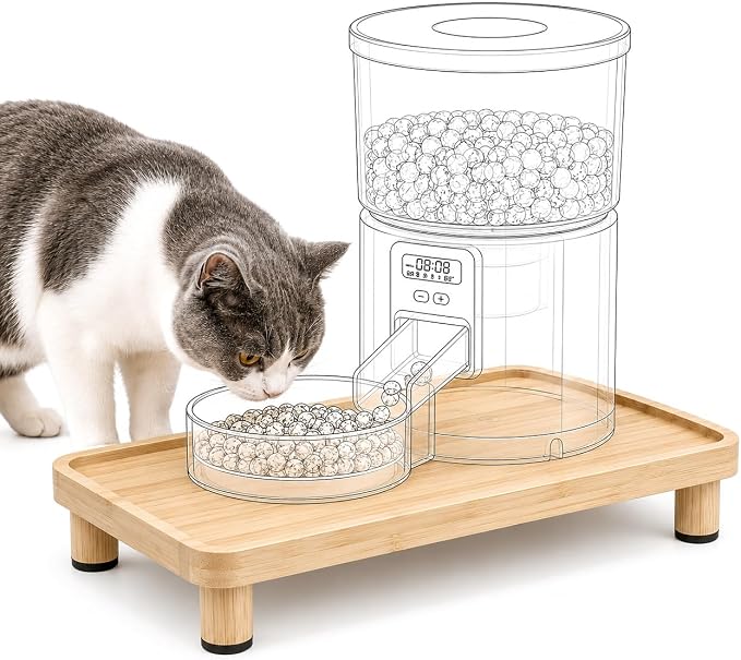 Cat Food Stand, Elevated Cat Feeding Station for Bowls & Feeders | Raised Rim Bowl Support, For Automatic Feeders & Bowls, Non-Slip Feet, Tool-Free Assembly, 15.8 x 9.8 in Wood Platform