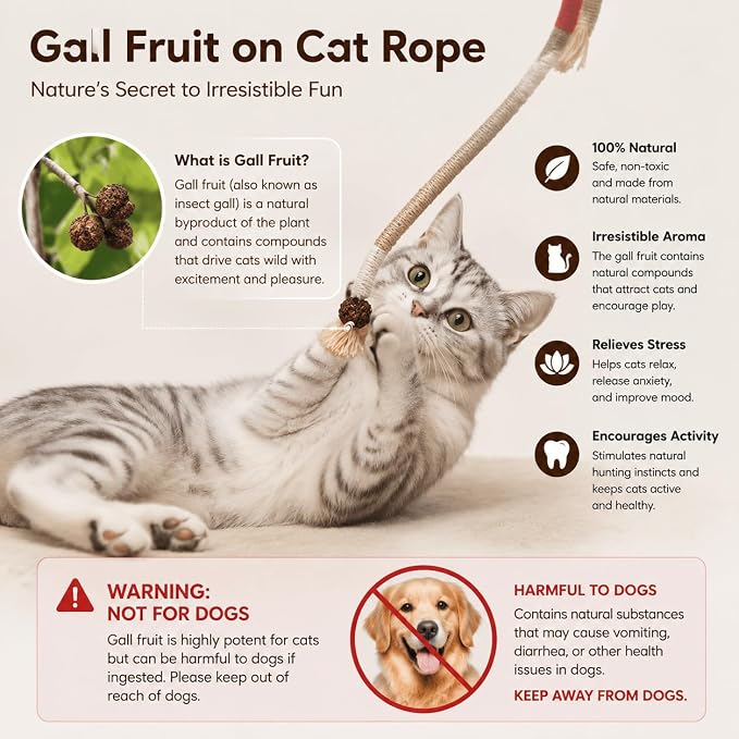 LOS ANDES Cat Silvervine Sticks & Chew Rope Toys Set with Catnip, Stress Relief Cat Toy, Interactive Teeth Cleaning Toys for Indoor Cats & Kittens