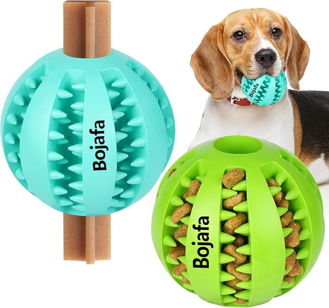 Puppy Chew Toys for Teething: 2Pack Dog Balls for Small Breed