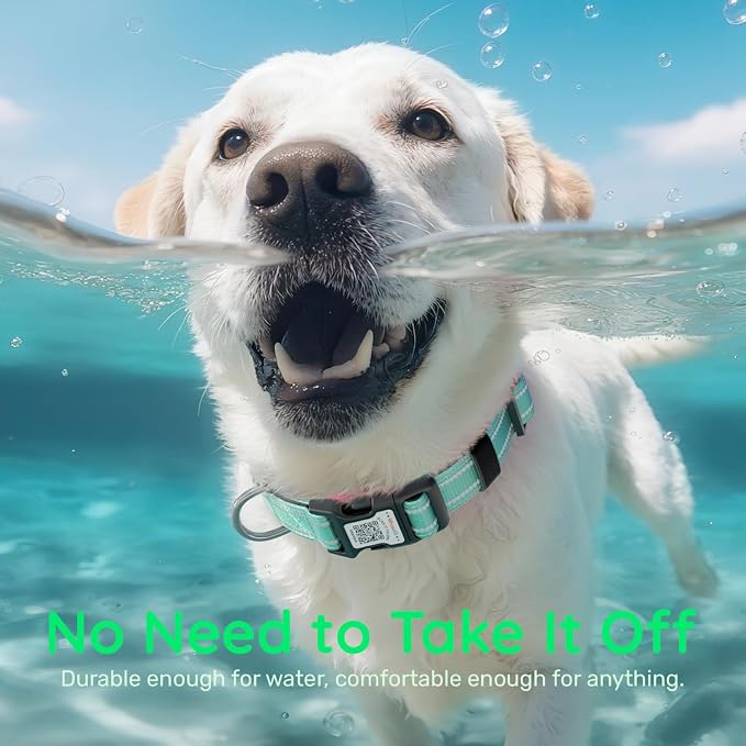 Dog Collar for Large Dogs with Smart QR Tags