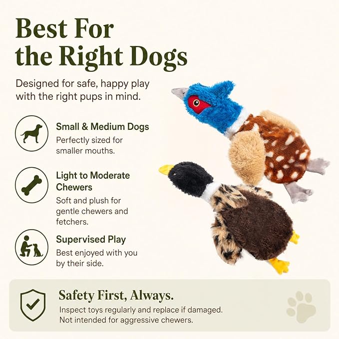 Duck Dog Toys, 2-Pack Stuffing-Free Squeaky Plush Bird Toys with 8 Total Squeakers, Hollow Body No-Stuffing Design for Small Medium Dogs
