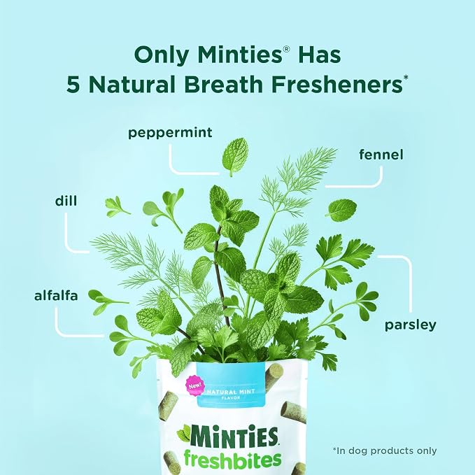 Minties FreshBites Soft and Chewy Dental Treats, Low Calorie Natural Mint Flavored Dental Chews for Dogs, 100 Count, Dog Chews Clean Teeth, Fight Bad Breath, Removes Plaque and Tartar | 7.5-cal soft chew; 5 natural breath fresheners; no wheat, corn, so...