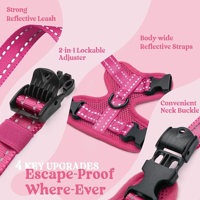 rabbitgoo Cat Harness and Leash Set, Easy-on with Neck Buckle, Rose Red