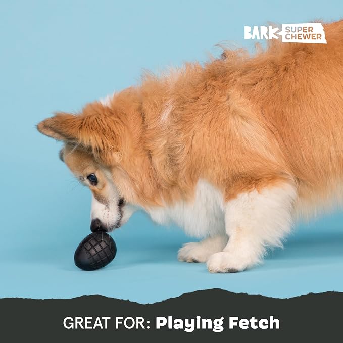 BarkBox Origin Super Chewer - Toy for Small Dogs