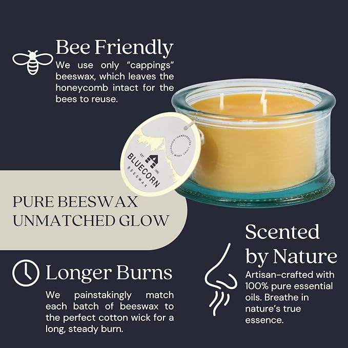 Bluecorn Botanica Beeswax 3-Wick Candle – Spruce, 100% Pure Beeswax & Essential Oils – 10oz Hand-Blown Recycled Spanish Glass – Non Toxic, Clean Burning, Refillable Glass Jar