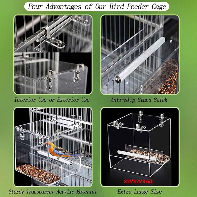 Automatic Acrylic Bird Feeder for Cage, No Mess Bird Feeder for Cage | Suitable for Bird Parrots, Canary, Parakeet, Budgerigar, Crested Myna, Cockatiel (XL)