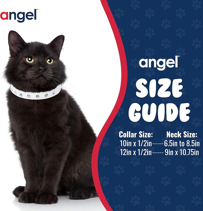 Athens Cat Collar, Leather Kitten Collar w/Rhinestones, Sturdy Breakaway Cat Collar with Bell & Elastic Stretch, Cat Accessories, Ivory White, 10 x ½ inches - Angel Pet Supplies