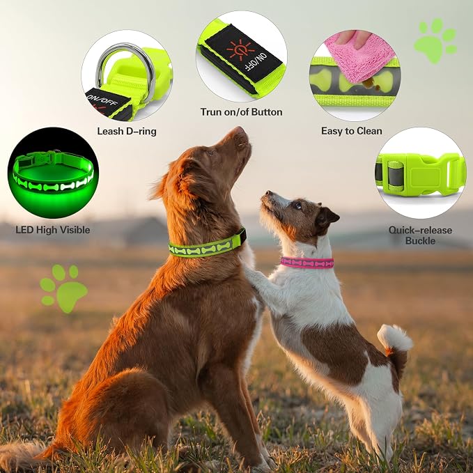 Flashseen LED Dog Collar Light Up USB-C Rechargeable (Green, Small)