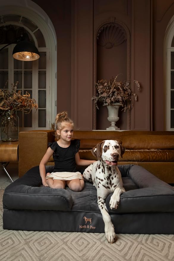NOAH & PAW XL Dog Bed, 45x35x11 Inch, Orthopedic Large Dog Beds, Eggshell Memory Foam Infused with Cooling Gel, Inner Cover, Water Resistant, Machine Washable (Faux Leather)
