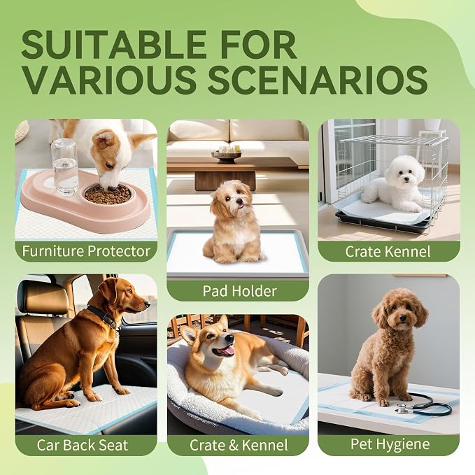 IMMCUTE 100 Count Premium Puppy Pads, 22"x23" Dog Pee Pads – Ultra-Soft Heat-Sealed, 6-Layer Leak-Proof & Super Absorbent Potty Training Pads for Dogs, Cats, Pets | Crate Training & Indoor Use, Blue