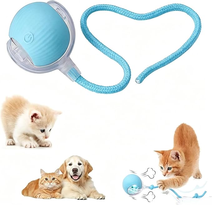Interactive Pet Toy Ball, Automatic Dog Toy Interactive Dog Cat Toy Ball Dog & Cat Electric Active Toys, Smart Chase Pet Toy Ball for Dogs for Large Small Dogs Motion Activated，Blue