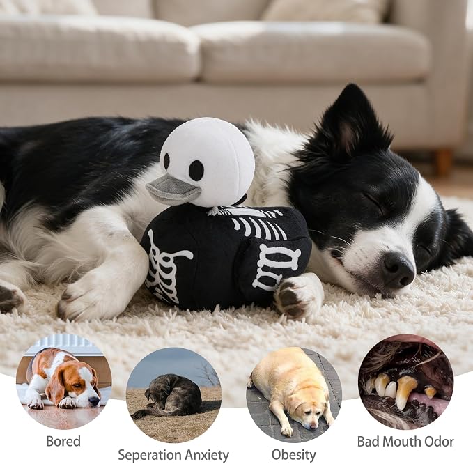 KOOLTAIL Halloween Squeaky Dog Toy, Skeleton Duck‑Shaped Interactive Durable Plush Toy with Crinkle Paper for Moderate Chewers, Toss & Fetch, Indoor Outdoor Cuddle Buddy for Small Medium Large Dogs