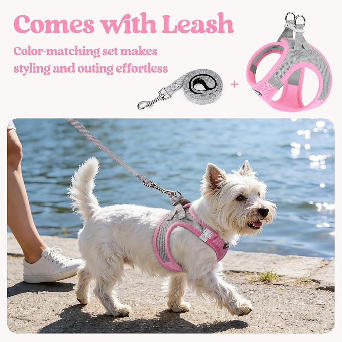 rabbitgoo Dog Harness Small Sized and Leash Set, Step-in Puppy Pet Vest | Light, Soft, Breathable Air Mesh, Easy on and Remove with Hook & Loop, Secure Reflective for Walking, Light Pink & Gray XXS