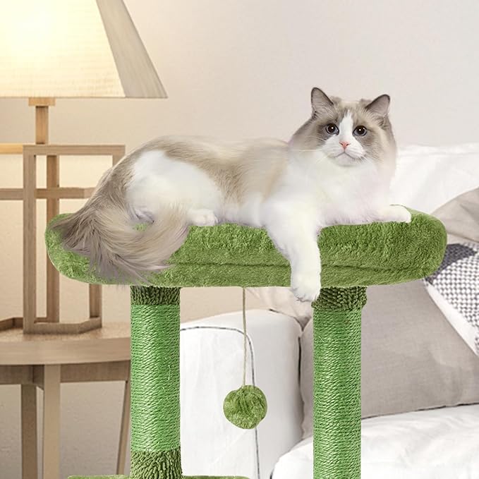 FISH&NAP Cute Cat Tree Kitten Cat Tower for Indoor Cat Condo Sisal Scratching Posts with Jump Platform Cat Furniture Activity Center Play House Green | FISH&NAP For Indoor Jump Platform Activity Center Play House Green