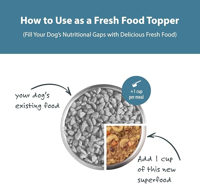 JustFoodForDogs Pantry Fresh Wet Dog Food, Complete Meal or Dog Food Topper, Turkey & Whole Wheat Macaroni Human Grade Dog Food Recipe - 12.5 oz (Pack of 6) | Fresh Pet Meal or Fresh Dog Food Topper, Human Grade Recipe Made With Whole Foods, Preservati...