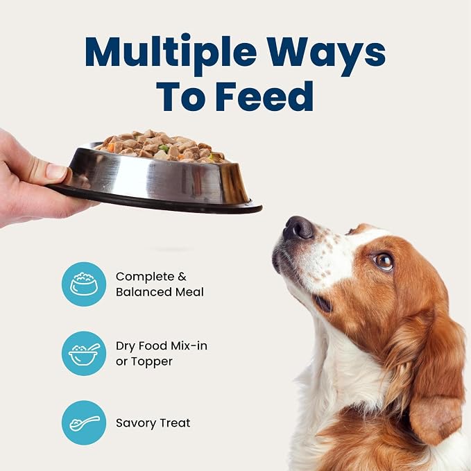Blue Buffalo Family Favorites Chicken Adult Wet Dog Food, 12.5 oz, 12 ct | Sunday Chicken Dinner Recipe, Real Chicken First, in Gravy, Feed as Treat, Topper, or Meal