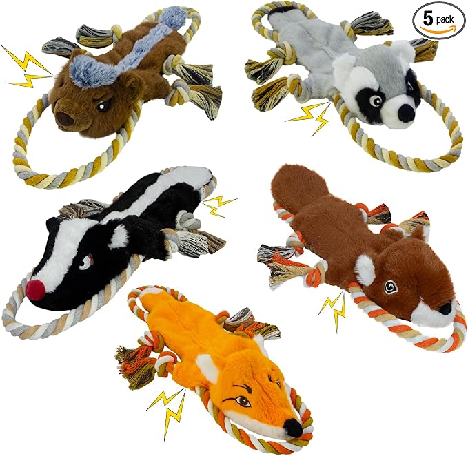 No Stuffing Rope 5-Pack Dog Toys, Chew Toys for Medium, Large Pets