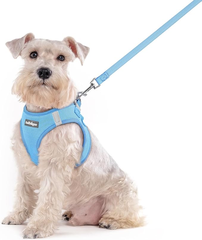 rabbitgoo Dog Harness Medium Sized and Leash Set, Step-in Puppy Pet Vest | Light, Soft, Breathable Air Mesh, Easy on and Remove with Hook & Loop, Secure Reflective for Walking, Blue XXL