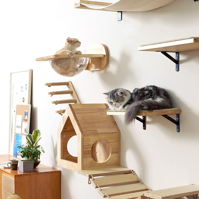 FUKUMARU Cat Wall Furniture Set, Transparent Capsule with 2 PCS Pedals | Kitten Walls Shelves, Premium Kitty Bed, For Sleeping, Playing, Climbing, Lounging, Holds Up to 35 Lbs
