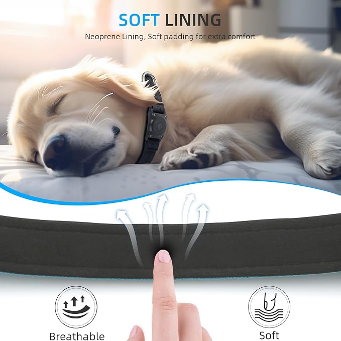 Upgrade Dog Collar with AirTag Holder, IP68 Waterproof, Blue, M | Built-in Water Resistant AirTag holder, 1000D Nylon, Reflective Stitching for Night Visibility, Soft padding for Comfort