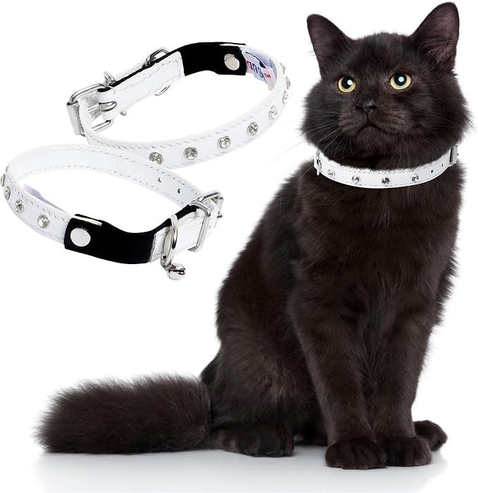 Athens Cat Collar, Leather Kitten Collar w/Rhinestones, Sturdy Breakaway Cat Collar with Bell & Elastic Stretch, Cat Accessories, Ivory White, 12 x ½ inches - Angel Pet Supplies