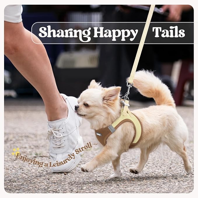 rabbitgoo Dog Harness Small Sized and Leash Set, Step-in Puppy Pet Vest | Light, Soft, Breathable Air Mesh, Easy on and Remove with Hook & Loop, Secure Reflective for Walking, Brown & Beige M