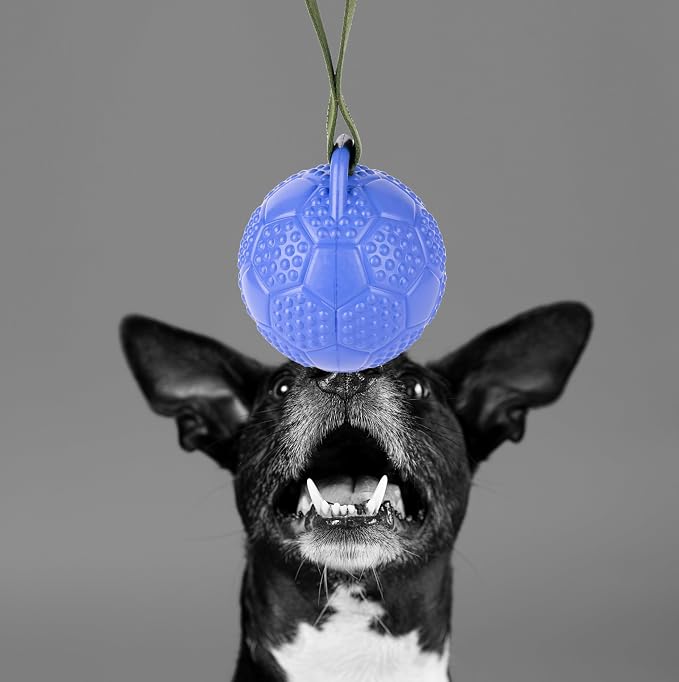 Fuzzl Eco Rubber Chuck & Treat Soccer Ball - Blue - Long Lasting Dog Chew Toys for Aggressive Chewers Strong Dog Toy for Dogs Durable Puppy Toys