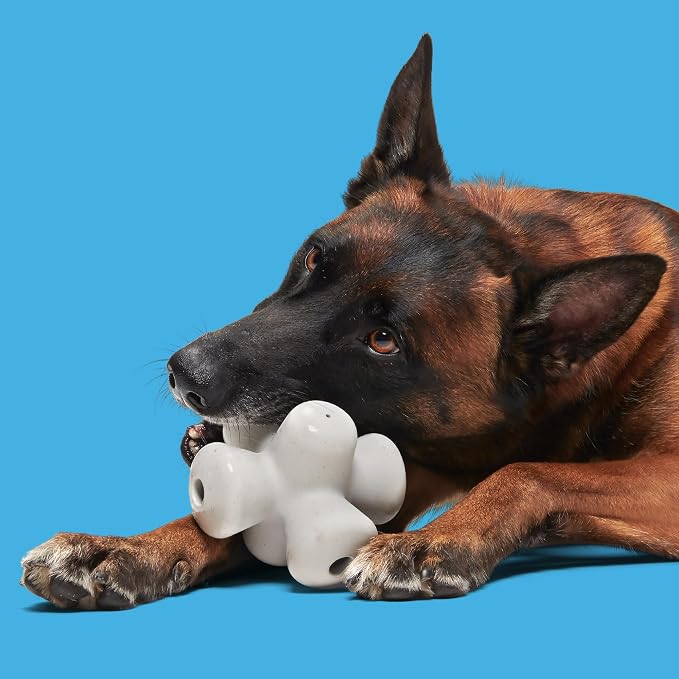 BarkBox Chomping Jacks Natural Rubber Dog Toy