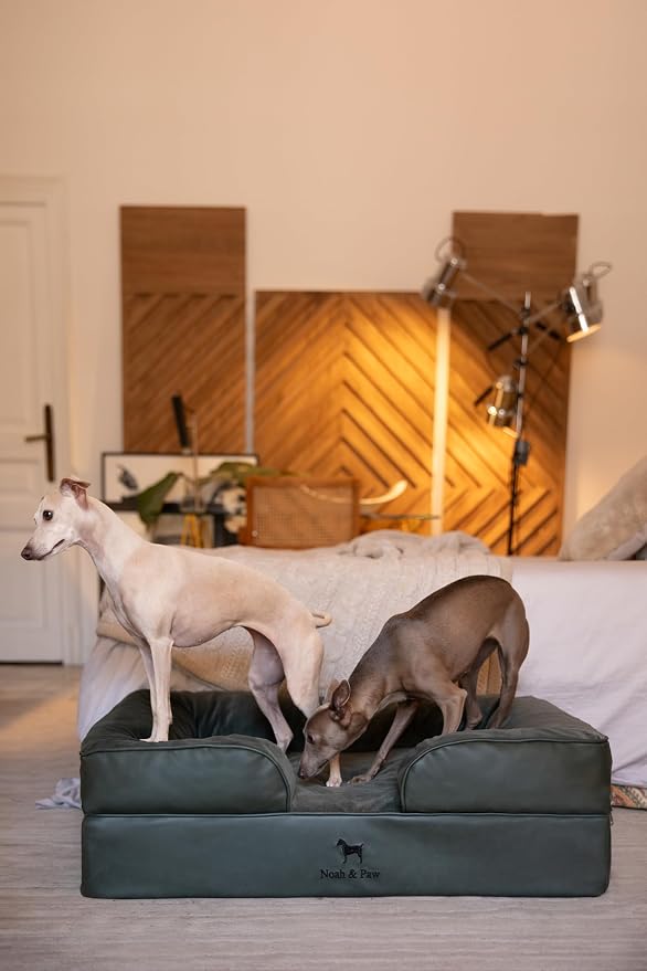 NOAH & PAW Large Dog Bed, 35x25x11 Inch, Orthopedic Dog Beds, Eggshell Memory Foam Infused with Cooling Gel, Inner Cover, Water Resistant, Machine Washable (Faux Leather)
