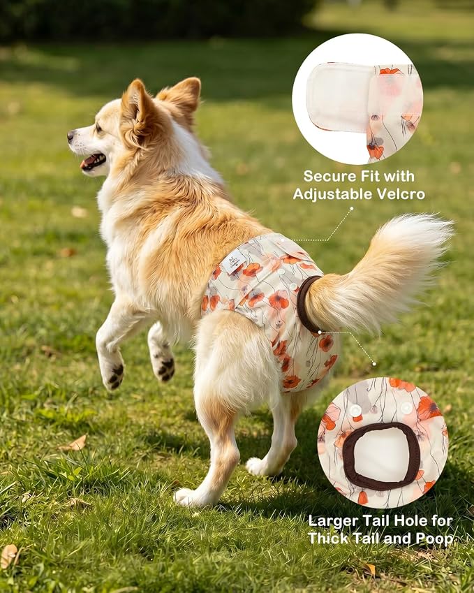 CuteBone Dog Diapers Female Washable Small Medium Large 3 Pack Reusable Doggie Diapers Puppy Period Pants for Doggy Heat Cycle Peeing