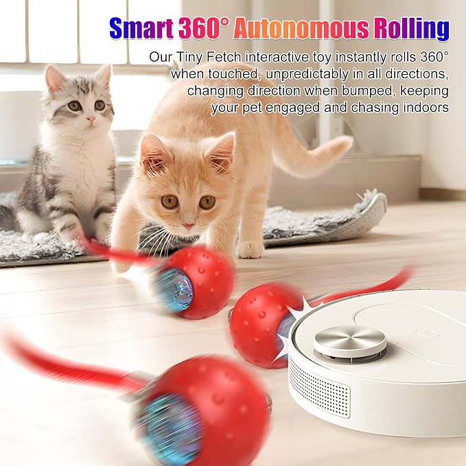 2Pcs Dog Toy, Interactive Dog Cat Toys Balls with Birdsong, Rechargeable 360° Smart Automatic Rolling Electric Dog Ball Toy with Rope for Pets Indoor & Outdoor Play (Red+Blue)