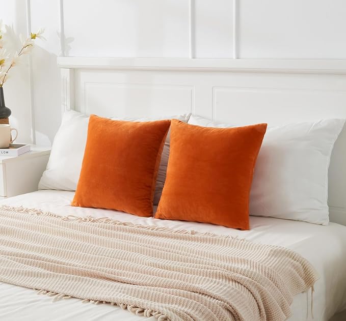 Throw Pillow Covers Burnt Orange Set of 2 18x18 Inch Fall Pillow Covers, Soft Velvet Farmhouse Neutral Decorative Pillowcases for Couch Sofa Bed, Home Boho Decor, Modern Cushion Covers