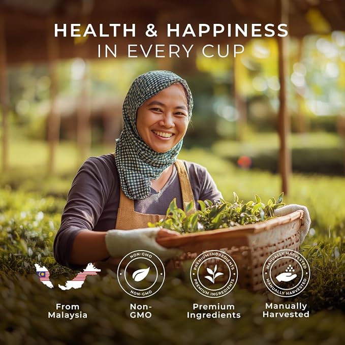 Gya Tea Co Yerba Mate Tea Bags (50 Bags) - Caffeinated with a Smooth Flavor for Workday - Recharge Yourself with Every Sip - Fruit & Herbal Blends