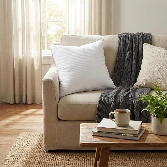 EvZ Premium 22x22 Pillow Insert (Single Pack) - Oversized Square Throw Pillow Form - Ultra-Dense Polyester Stuffer - Perfectly Fits 22x22 Covers with No Saggy Corners