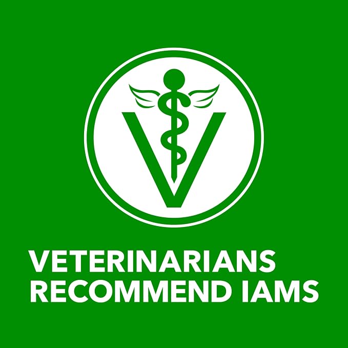 IAMS Proactive Health Ground Wet Dog Food, Chicken, 13 oz, 12 Pack | Made with real chicken, Omega-6 for skin & coat, no fillers or artificial flavors, 100% complete & balanced adult maintenance