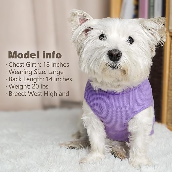 KYEESE 2Pack Waffle Dog Shirt for Small Dogs Striped Dog Sweater Tank Top | Cozy Warmth, Lightweight & Breathable, Gentle on Sensitive Skin, Stretchy & Free to Move, Comfortable Daily Wear