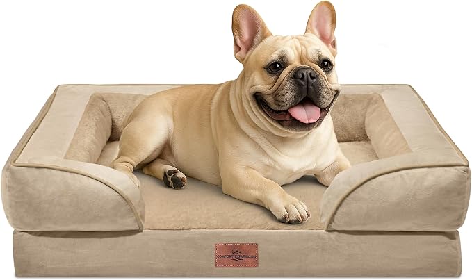 Comfort Expression Waterproof Orthopedic Dog Bed for Medium Size Dog | Supportive Egg Crate Foam Medium Pet Bed with Removable Bolsters, Dog Couch with Washable Cover & Non-Slip Bottom, 30x20 Inch