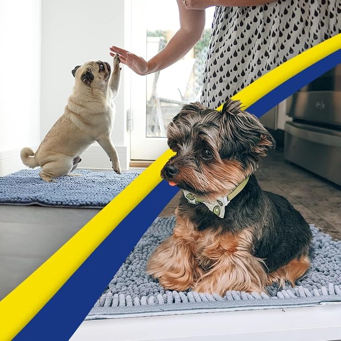 Muddy Mat® | Super Water Absorbent Door Mat Indoor, Microfiber Quick Dry Chenille Entryway Rug, Slip Resistant Front Door Mat, Indoor Mats for Entryway, Machine Washable Pet Rug, Baby Blue 30" x 60"