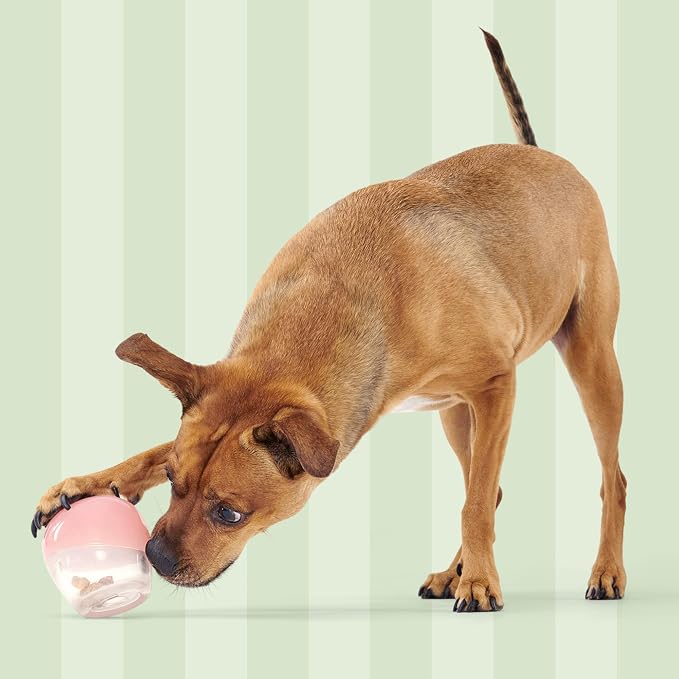Barkbox Tipsy Treat Gift Pack – Valentine’s Day Plush Treat-Dispensing Dog Toy & Chicken Jerky Heart Treats – Fun Gift Box for Medium to Large Dogs