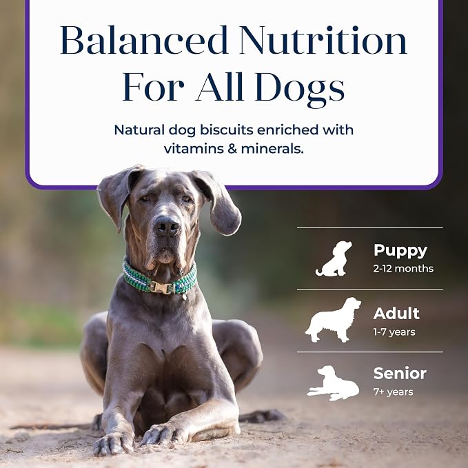 Blue Buffalo Basics Turkey Skin & Stomach Care Dog Biscuits, 6 oz | Real Turkey #1 Ingredient, Limited Ingredient Diet, Antioxidant-Rich LifeSource Bits, Crunchy Treat for All Breed Sizes