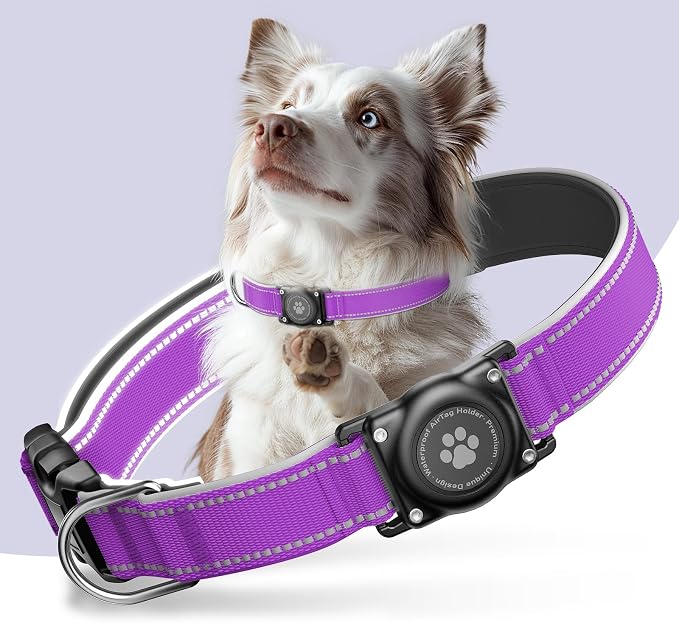 Upgrade Dog Collar with AirTag Holder, IP68 Waterproof, Grape Purple, M | Built-in Water Resistant AirTag holder, 1000D Nylon, Reflective Stitching for Night Visibility, Soft padding for Comfort