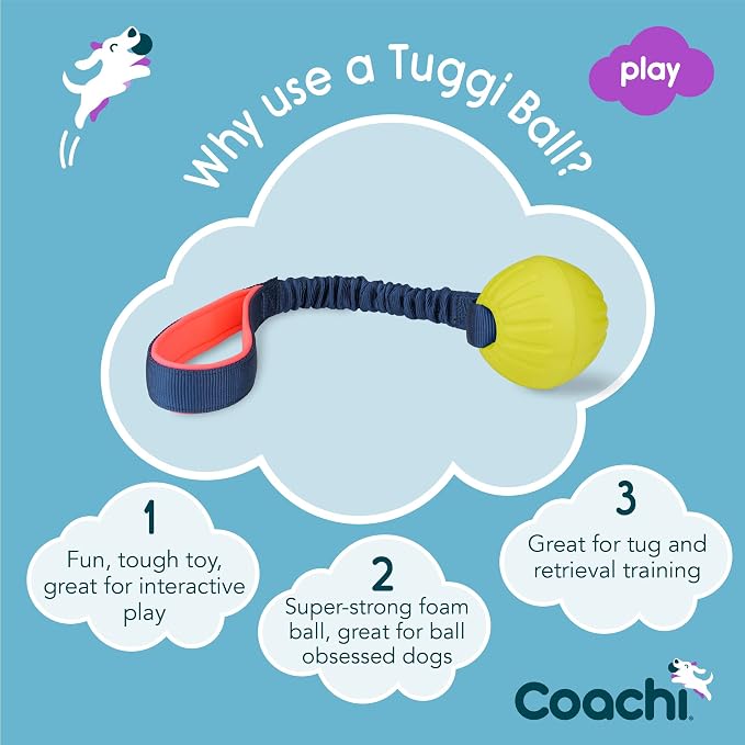 Coachi Tuggi Ball - Interactive Dog Toy for Tug of War & Play