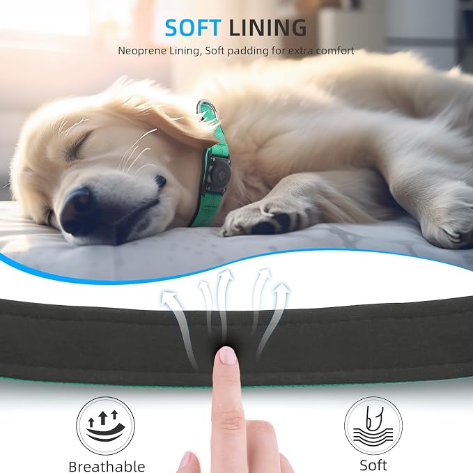 Upgrade Dog Collar with AirTag Holder, IP68 Waterproof, Teal, L | Built-in Water Resistant AirTag holder, 1000D Nylon, Reflective Stitching for Night Visibility, Soft padding for Comfort