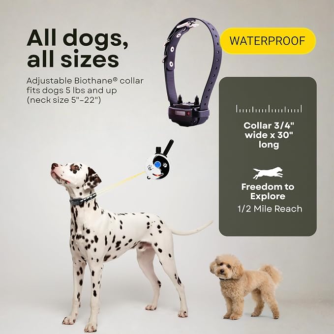 E-Collar ET-300 / ET-302 Dog Training Collar System with Remote - 1/2 Mile Range - Waterproof, Vibration, Sensation - Includes eOutletDeals Pet Towel (1 Dog System - ET-300 Zen)